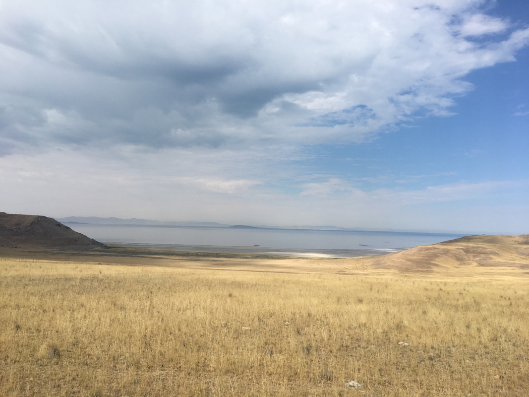 p1120935a.jpg