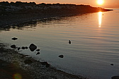 p1120916.jpg