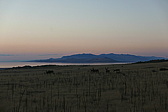 p1120926.jpg
