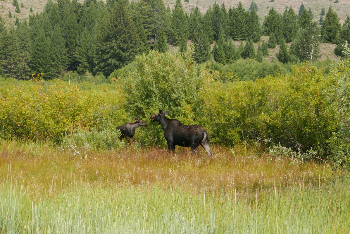 p1130054.jpg