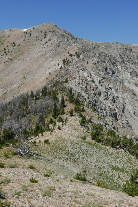 p1130139.jpg