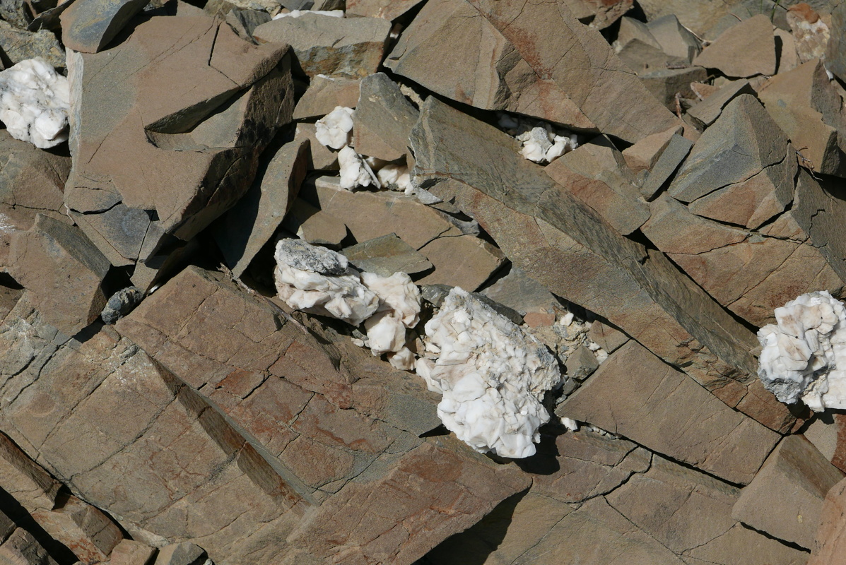 p1130144.jpg