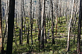 p1130049.jpg