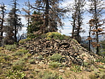 p1130053i.jpg