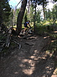 p1130053l.jpg