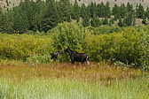 p1130054.jpg