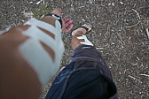 p1130076.jpg
