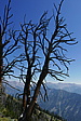 p1130133.jpg