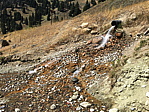p1130182a.jpg