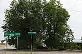 p1130211.jpg