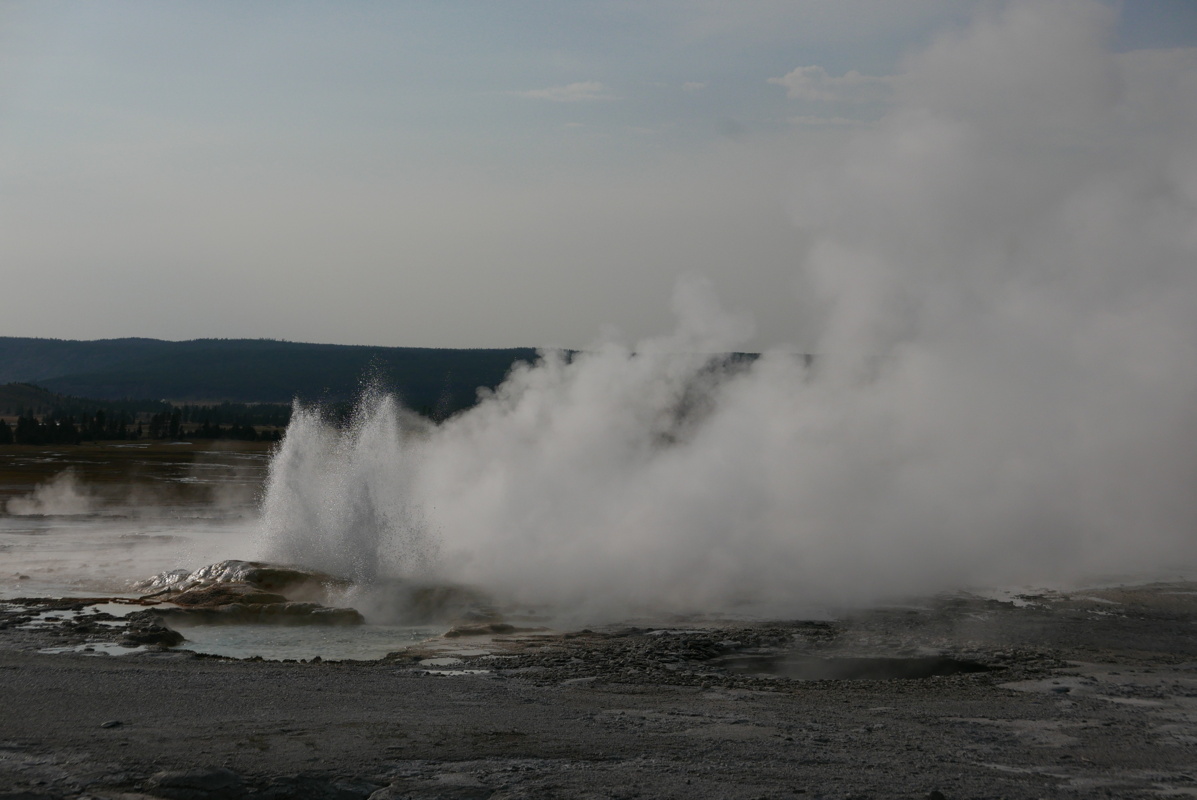 p1130235.jpg