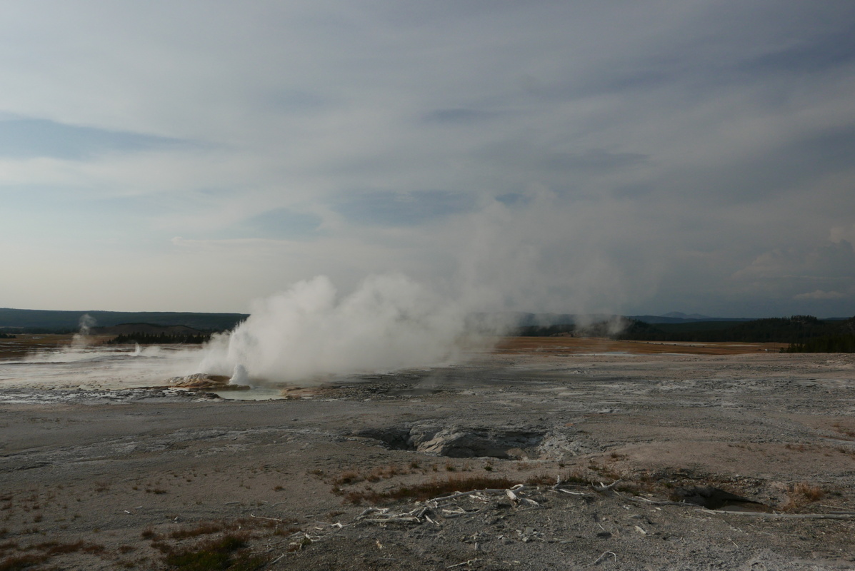 p1130241.jpg