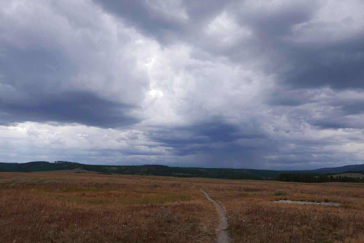 p1130282.jpg