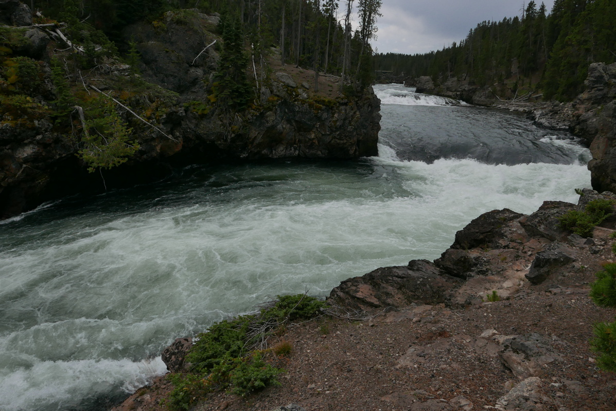 p1130290.jpg
