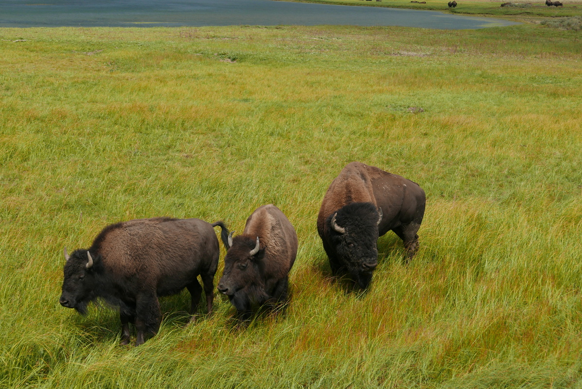 p1130344.jpg