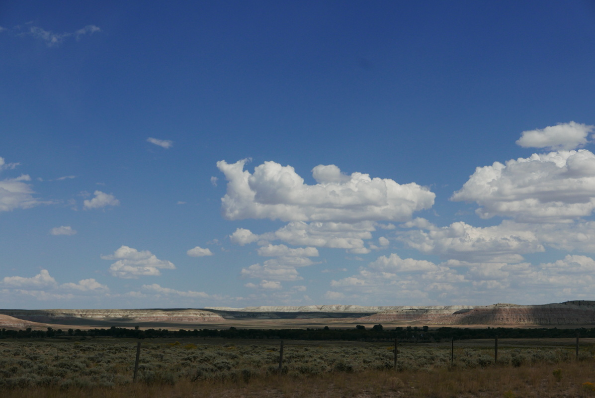 p1130419.jpg