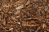 p1130215.jpg