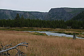 p1130217.jpg