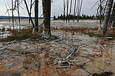 p1130220.jpg
