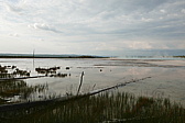 p1130252.jpg