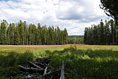 p1130266.jpg