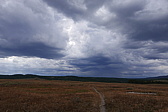 p1130282.jpg