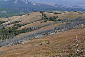 p1130312.jpg