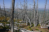 p1130314.jpg
