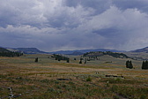 p1130334.jpg