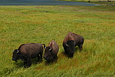 p1130344.jpg