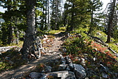 p1130415.jpg