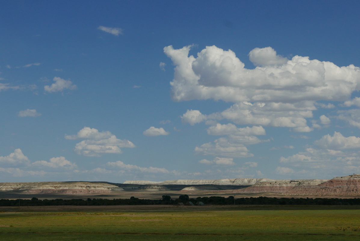 p1130421.jpg