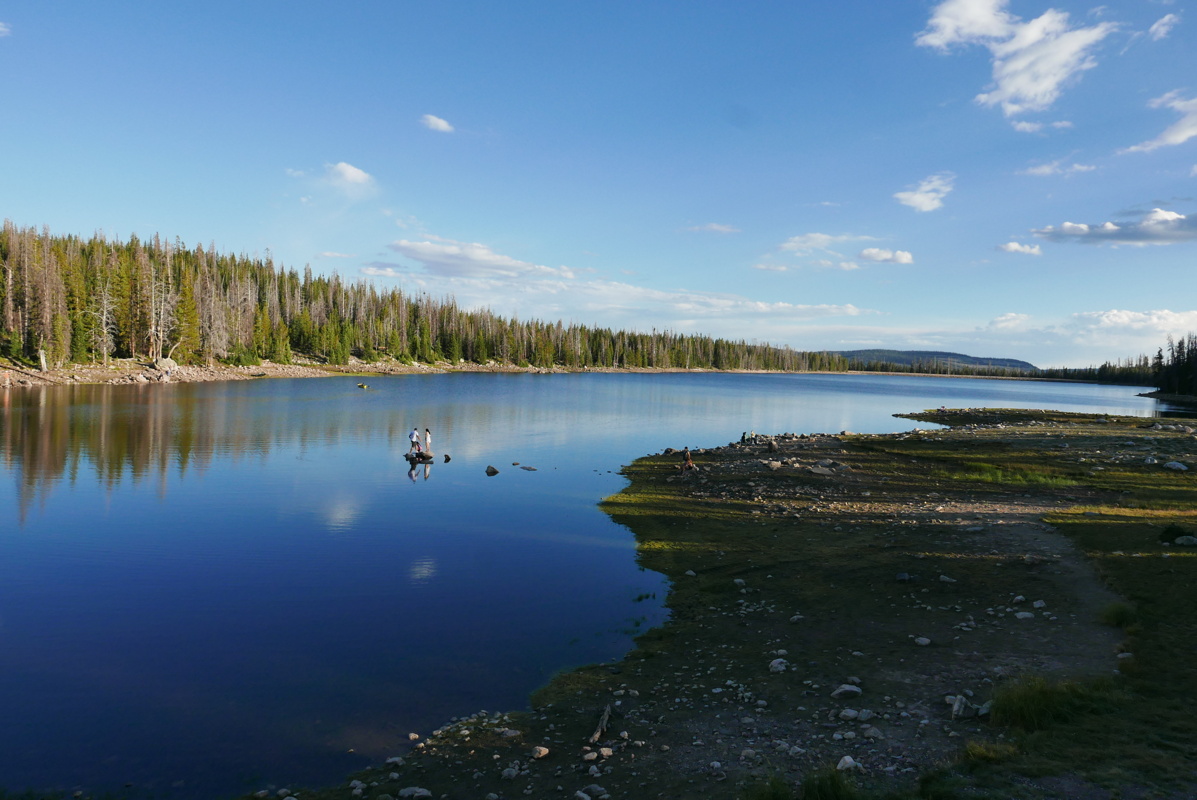 p1130453.jpg
