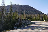 p1130430.jpg