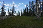 p1130434.jpg