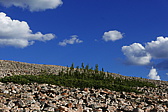 p1130436.jpg