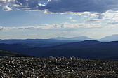 p1130445.jpg