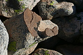 p1130450.jpg