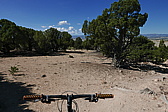 p1130469.jpg