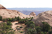 p1130494.jpg
