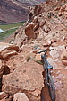 p1130504.jpg