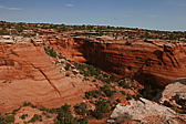 p1130515.jpg