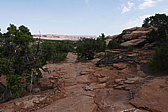 p1130517.jpg