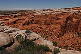 p1130529.jpg