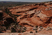 p1130531.jpg