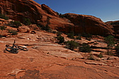 p1130537.jpg