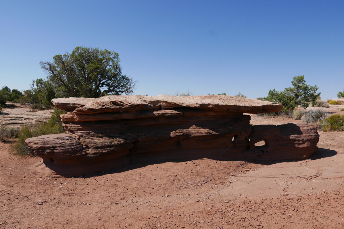 p1130544.jpg