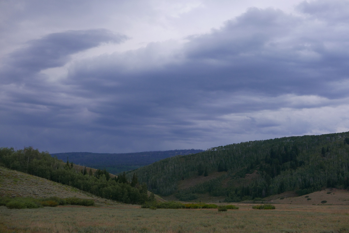 p1130598.jpg