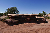 p1130544.jpg
