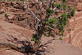p1130545.jpg